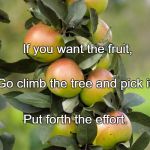 Fruits | If you want the fruit, Go climb the tree and pick it. Put forth the effort. | image tagged in fruits | made w/ Imgflip meme maker