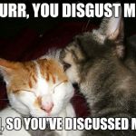 licking cats | PURR, YOU DISGUST ME; AH, SO YOU'VE DISCUSSED ME | image tagged in licking cats | made w/ Imgflip meme maker
