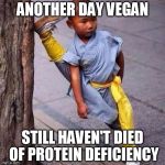 Chinese boy pwns | ANOTHER DAY VEGAN; STILL HAVEN'T DIED OF PROTEIN DEFICIENCY | image tagged in chinese boy stretching,vegan,veganism,vegan4life | made w/ Imgflip meme maker