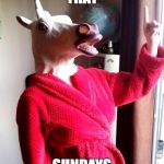 Hold your horses | I NOW DECLARE THAT; SUNDAYS UNICORN DAY | image tagged in hold your horses | made w/ Imgflip meme maker