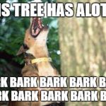 Dog Barking Up Tree | THIS TREE HAS ALOT OF; BARK BARK BARK BARK BARK BARK BARK BARK BARK BARK | image tagged in dog barking up tree | made w/ Imgflip meme maker