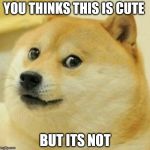 csgo doge | YOU THINKS THIS IS CUTE; BUT ITS NOT | image tagged in csgo doge | made w/ Imgflip meme maker