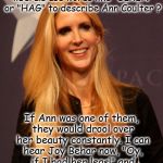 Ann Coulter  | Have you ever noticed that liberals use words like "SIREN" or "HAG" to describe Ann Coulter ? If Ann was one of them, they would drool over her beauty constantly. I can hear Joy Behar now, "Oy, if I had her legs!" and "Oh my Gawd , she's gorr-juss ! " | image tagged in ann coulter | made w/ Imgflip meme maker