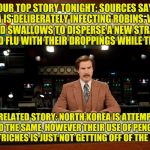 Russia Is Trying With Pigs, But They Just Can't  Get Them to Fly. | OUR TOP STORY TONIGHT: SOURCES SAY CHINA IS DELIBERATELY INFECTING ROBINS, WRENS AND SWALLOWS TO DISPERSE A NEW STRAIN OF BIRD FLU WITH THEIR DROPPINGS WHILE THEY FLY. IN A RELATED STORY: NORTH KOREA IS ATTEMPTING TO DO THE SAME, HOWEVER THEIR USE OF PENGUINS AND OSTRICHES IS JUST NOT GETTING OFF OF THE GROUND. | image tagged in world news,china,north korea,flu | made w/ Imgflip meme maker