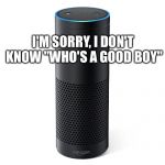 Amazon Echo | I'M SORRY, I DON'T KNOW "WHO'S A GOOD BOY" | image tagged in amazon echo | made w/ Imgflip meme maker