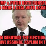 WikileaksProof | TRUMP & PUTIN BOTH CONSPIRED AND MADE A DEAL WITH ASSANGE; HELP THEM SABOTAGE THE ELECTION & TRUMP WILL GIVE ASSANGE, ASYLUM IN THE USA | image tagged in wikileaksproof | made w/ Imgflip meme maker