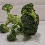 Broccoli Poodle Yum Eat Yer Veggies meme