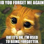 cat hat don't forget me | DID YOU FORGET ME AGAIN? OH! IT'S OK, I'M USED TO BEING FORGOTTEN. | image tagged in cat hat don't forget me | made w/ Imgflip meme maker