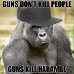 ghetto harambe | GUNS DON'T KILL PEOPLE; GUNS KILL HARAMBE | image tagged in ghetto harambe,memes | made w/ Imgflip meme maker