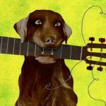 Dog with Guitar meme