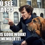 sherlock | YOU SEE THAT?? THAT IS GOOD WORK!  REMEMBER IT! | image tagged in sherlock | made w/ Imgflip meme maker