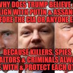 Putin Assange Trump | WHY DOES TRUMP BELIEVE & ALIGN WITH PUTIN & ASSANGE BEFORE THE CIA OR ANYONE ELSE; BECAUSE KILLERS, SPIES TRAITORS & CRIMINALS ALWAYS SIDE WITH & PROTECT EACH OTHER | image tagged in putin assange trump | made w/ Imgflip meme maker