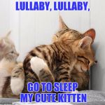 Consoling Kittens | LULLABY, LULLABY, GO TO SLEEP MY CUTE KITTEN | image tagged in consoling kittens | made w/ Imgflip meme maker