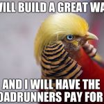 Trump Bird | I WILL BUILD A GREAT WALL; AND I WILL HAVE THE ROADRUNNERS PAY FOR IT | image tagged in trump bird,memes,trump,donald trump,trump wall,funny | made w/ Imgflip meme maker