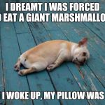 Sleepy dog | I DREAMT I WAS FORCED TO EAT A GIANT MARSHMALLOW WHEN I WOKE UP, MY PILLOW WAS GONE | image tagged in sleepy dog,scumbag | made w/ Imgflip meme maker