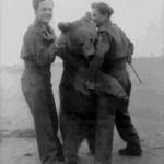 Soldiers and a Bear