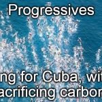 Departing for the nearest Worker's Paradise, and mindful of athrogenic climate change, they leave the Deplorables behind.   | Progressives; leaving for Cuba, without sacrificing carbons. | image tagged in swimmers in flight,progressives,cuba,socialists,good bye,venezuela | made w/ Imgflip meme maker