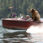 Bear on a boat