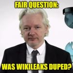 WikileaksProof | FAIR QUESTION:; WAS WIKILEAKS DUPED? | image tagged in wikileaksproof | made w/ Imgflip meme maker