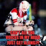Harley Quinn Sad | CAN'T ALL THE VOICES IN MY HEAD; JUST GET ALONG?! | image tagged in harley quinn sad | made w/ Imgflip meme maker