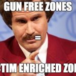 Ron Burgundy MBA | GUN FREE ZONES; =; VICTIM ENRICHED ZONES | image tagged in ron burgundy mba | made w/ Imgflip meme maker
