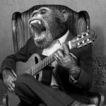 Blues Guitar Chimp