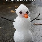Florida Snowman | #snOMG2017 | image tagged in florida snowman | made w/ Imgflip meme maker