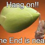 When you reach the end of your rope, tie a knot in it and hang o | Hang on!! The End is near!! | image tagged in when you reach the end of your rope tie a knot in it and hang o | made w/ Imgflip meme maker