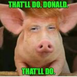 That'll_Do_Don | THAT’LL DO, DONALD. THAT’LL DO. | image tagged in that'll_do_don | made w/ Imgflip meme maker
