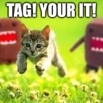 Kittens Running from Domo | TAG! YOUR IT! | image tagged in kittens running from domo | made w/ Imgflip meme maker