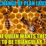 Illuminati confirmed | CHANGE OF PLAN LADS; THE QUEEN WANTS THESE TO BE TRIANGULAR... | image tagged in cars kill honeybees,memes,animals,bees,triangles,illuminati confirmed | made w/ Imgflip meme maker