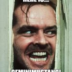 jack nicholson shining | HERE IS.... GEMINIMUSTANG! | image tagged in jack nicholson shining | made w/ Imgflip meme maker