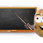 Potato Teacher