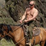 Putin horse