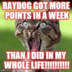 NO MEME TEMPLATE CAN EVER EXPRESS MY RAGE!!!!!!!!!!!!!!!!!!!!!! | RAYDOG GOT MORE POINTS IN A WEEK; THAN I DID IN MY WHOLE LIFE!!!!!!!!!! | image tagged in memes,cats,gifs,funny,pie charts,animals | made w/ Imgflip meme maker