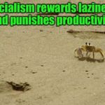Little Acknowledged Fact Crab | Socialism rewards laziness and punishes productivity. | image tagged in little acknowledged fact crab | made w/ Imgflip meme maker
