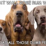 shocked dogs | ROOK AT WALL ROSE RUM WEEBLE; ( LOOK AT ALL THOSE DUMB PEOPLE ) | image tagged in shocked dogs,memes,funny memes,funny dogs | made w/ Imgflip meme maker