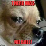 Dog Problems | THERE WAS; NO BALL! | image tagged in dog problems | made w/ Imgflip meme maker