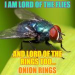 When interviewed on WHY he kept buzzing, and finally landed on H | I AM LORD OF THE FLIES; AND LORD OF THE RINGS TOO... ONION RINGS | image tagged in when interviewed on why he kept buzzing and finally landed on h | made w/ Imgflip meme maker