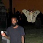 Mothra in the graveyard meme