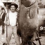 Huge fish caught