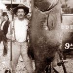 Huge fish caught | DAMN! THE FISH WERE THAT HUGE BACK THEN?! IMAGINE THE SIZE OF THE LOBSTERS! | image tagged in huge fish caught | made w/ Imgflip meme maker