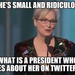 Meryl Streep | IF SHE'S SMALL AND RIDICULOUS... WHAT IS A PRESIDENT WHO CRIES ABOUT HER ON TWITTER??? | image tagged in meryl streep | made w/ Imgflip meme maker