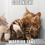 sleepy kittens | GOODNIGHT; WARRIOR FANS! | image tagged in consoling kittens | made w/ Imgflip meme maker