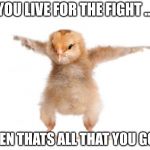 strongest chicken | YOU LIVE FOR THE FIGHT ... WHEN THATS ALL THAT YOU GOT!! | image tagged in strongest chicken | made w/ Imgflip meme maker