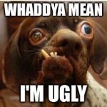 Ugly doggo | WHADDYA MEAN; I'M UGLY | image tagged in ugly doggo | made w/ Imgflip meme maker