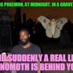 Mothra in the graveyard | PLAYING POKEMON, AT MIDNIGHT, IN A GRAVEYARD... AND SUDDENLY A REAL LIFE VENOMOTH IS BEHIND YOU! | image tagged in mothra in the graveyard | made w/ Imgflip meme maker