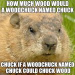woodchuckpun | HOW MUCH WOOD WOULD A WOODCHUCK NAMED CHUCK; CHUCK IF A WOODCHUCK NAMED CHUCK COULD CHUCK WOOD | image tagged in woodchuckpun | made w/ Imgflip meme maker