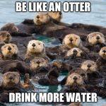 Otters | BE LIKE AN OTTER; DRINK MORE WATER | image tagged in otters | made w/ Imgflip meme maker
