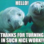 Dancing manatees | HELLO! THANKS FOR TURNING IN SUCH NICE WORK!! | image tagged in dancing manatees | made w/ Imgflip meme maker